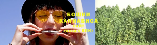 ПСИЛОЦИБИНОВЫЕ ГРИБЫ Фурманов