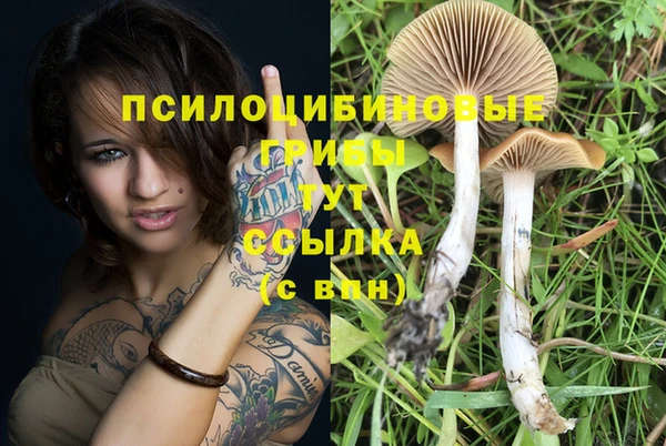 гидра Вязники