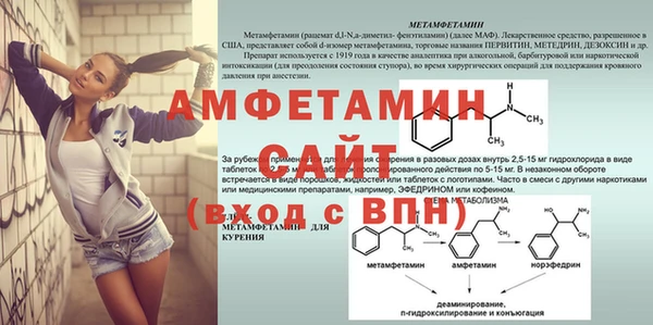 сатива Володарск