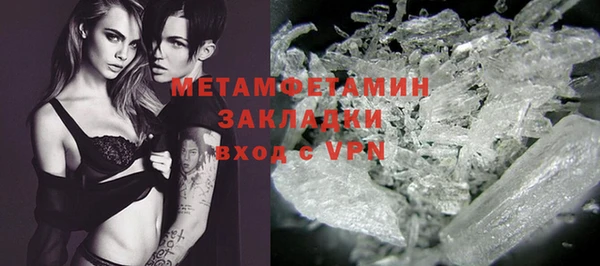 ГАЛЛЮЦИНОГЕННЫЕ ГРИБЫ Вяземский